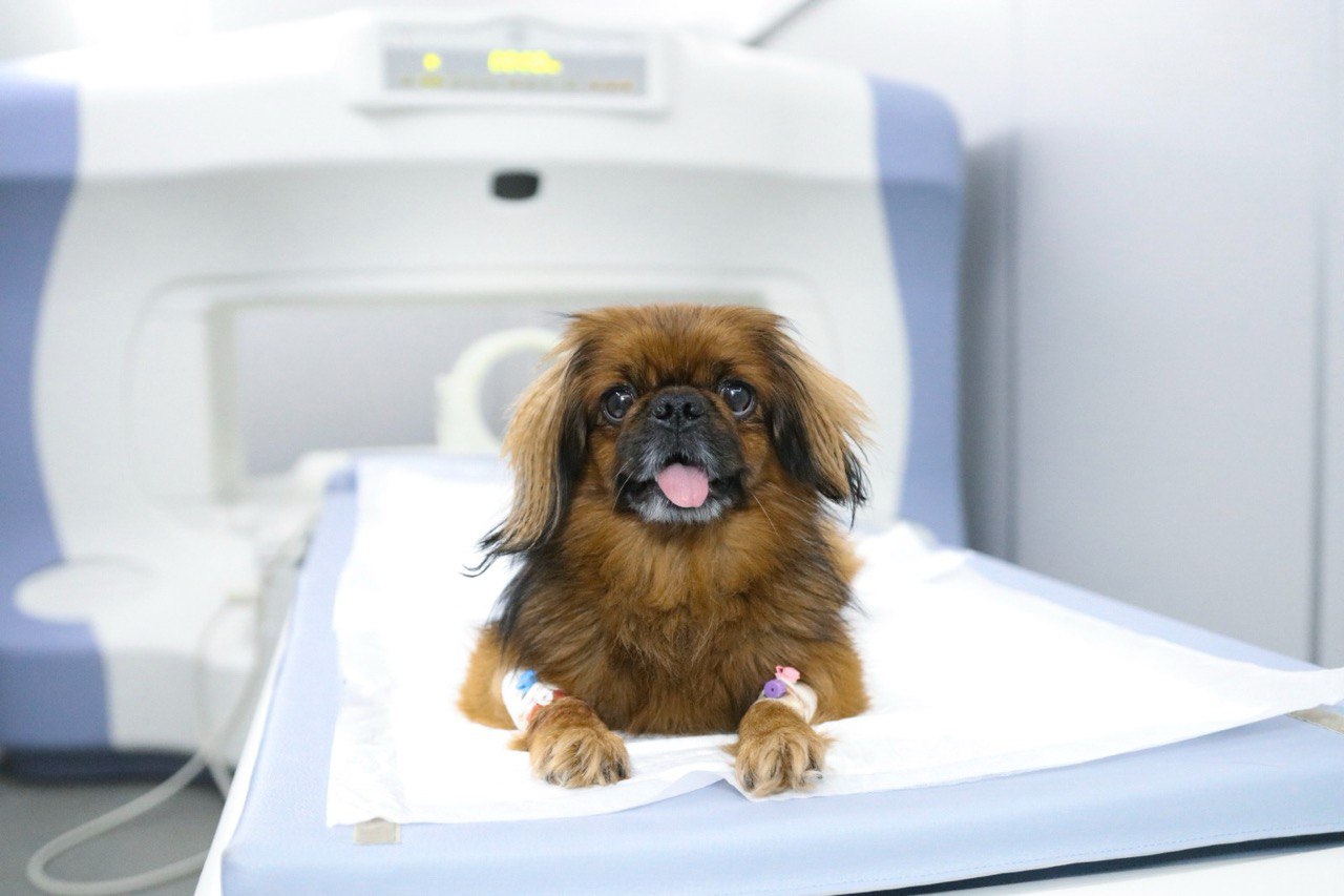 salesconf_мтбанк (2).jpg